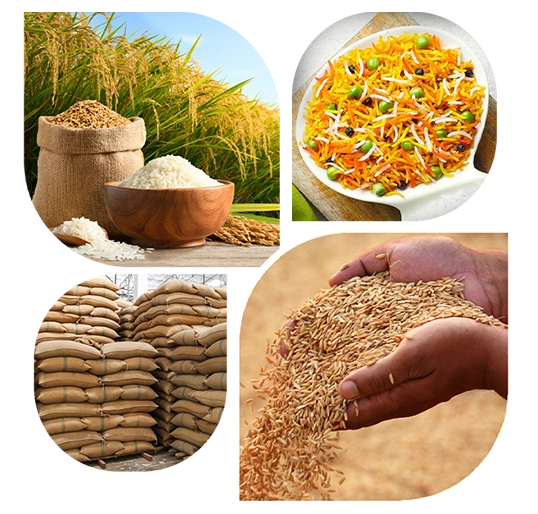 Auston%20Global%20Exim