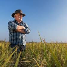 Auston%20Global%20Exim